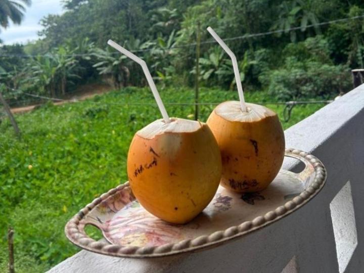 Sandaru Holiday Resort Weligama Dış mekan fotoğraf